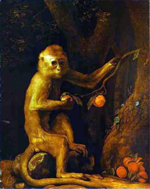 Green Monkey, George Stubbs
